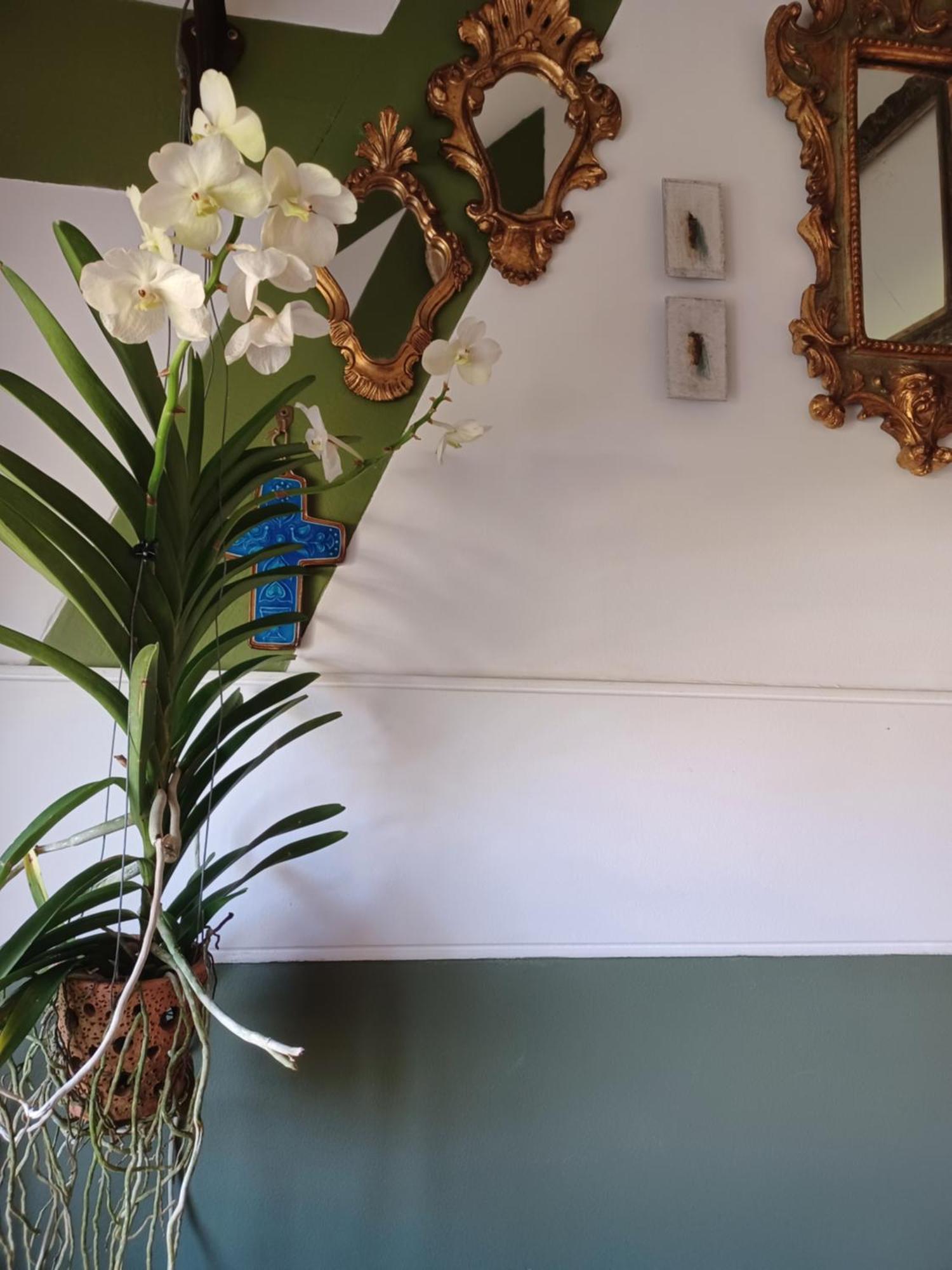 Le Banellou Bed & Breakfast Quimper Exterior foto
